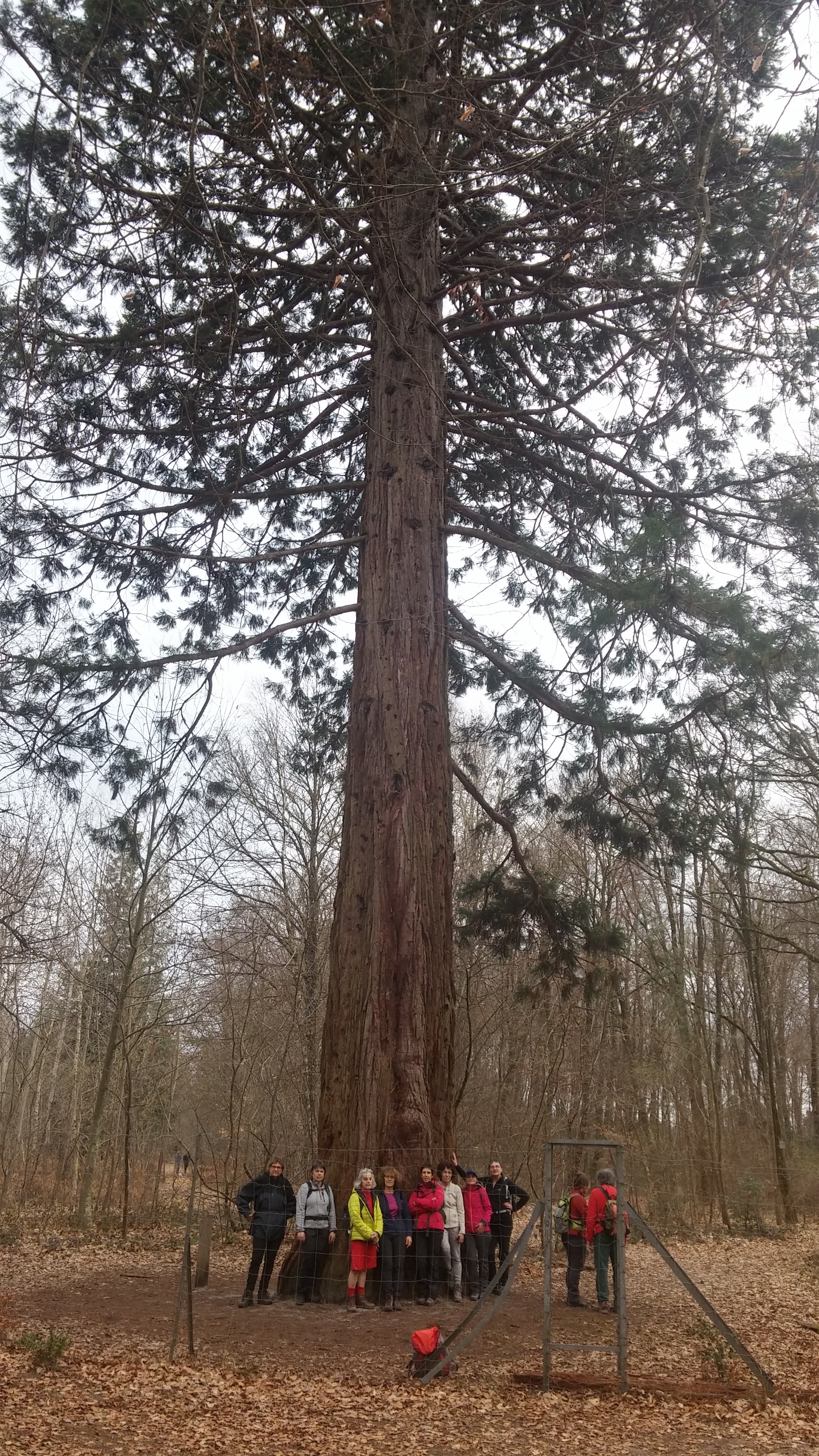 Deux belles randonnées, vers Sorques et vers la Salamandre – Club alpin du  pays de Fontainebleau